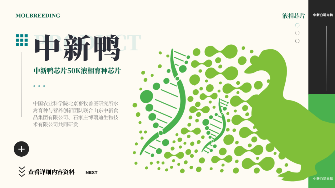 中新鸭芯片50K液相育种芯片