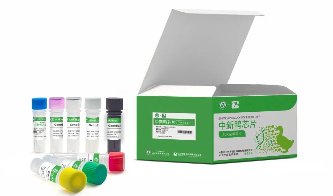 中新鸭芯片试剂盒