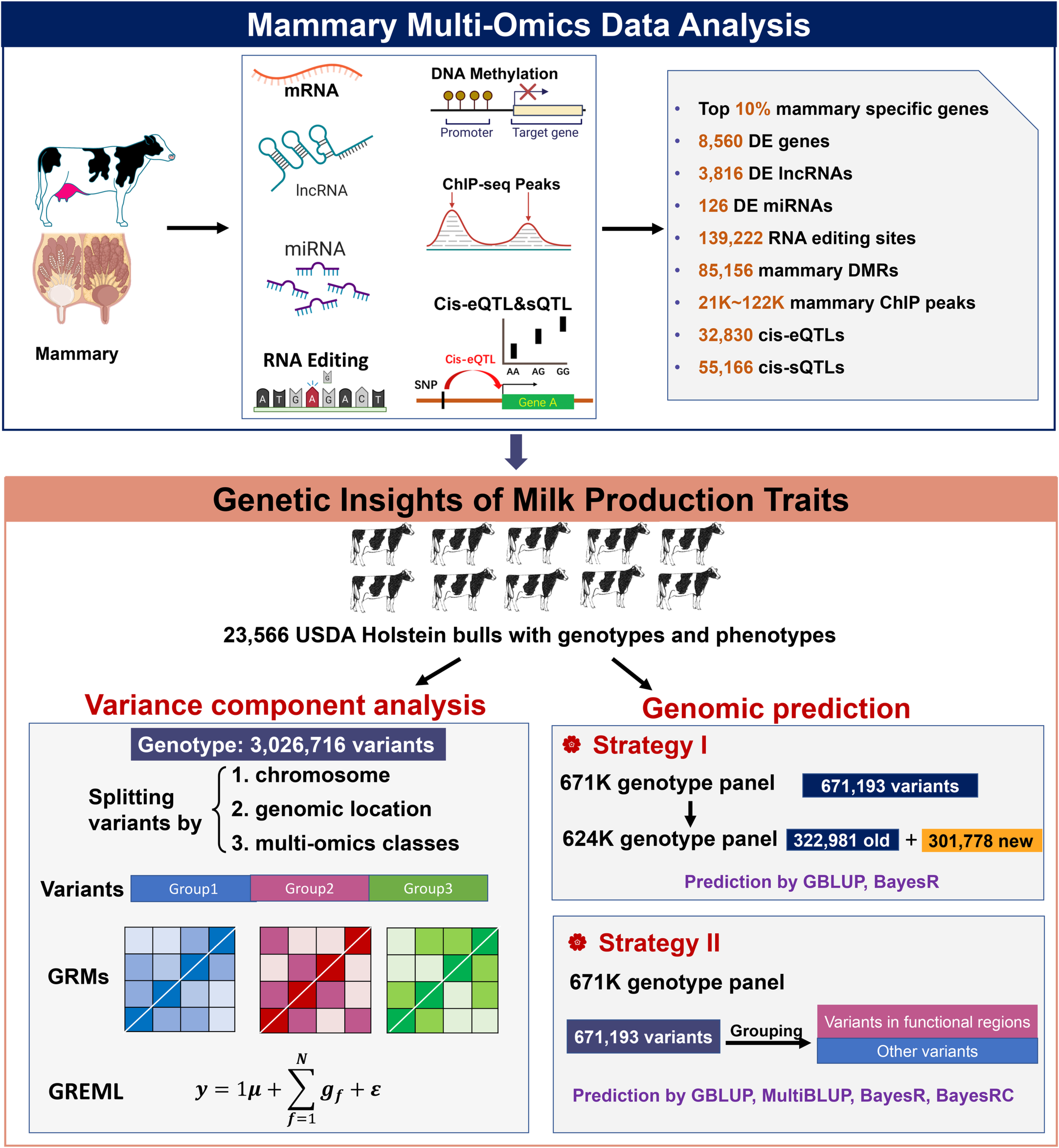 PLoS Genetics